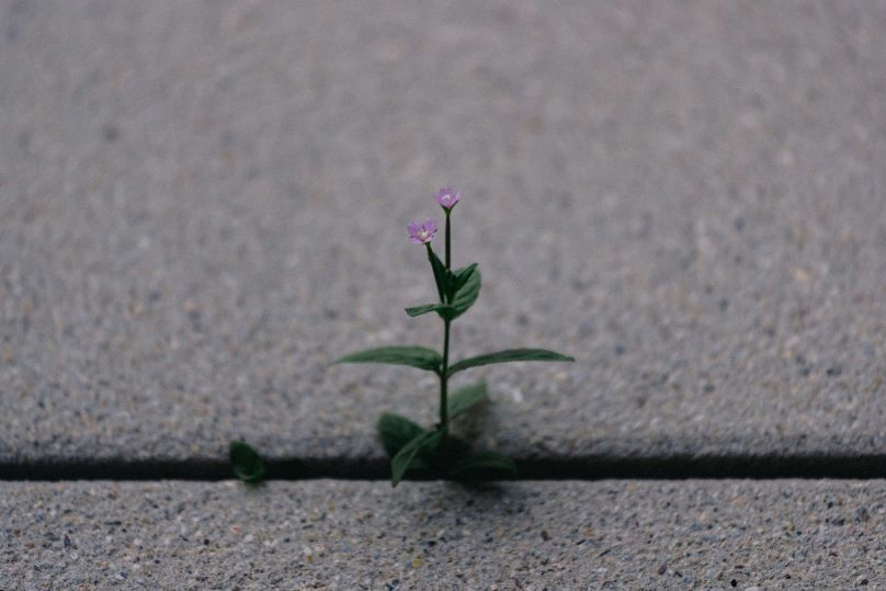 About background