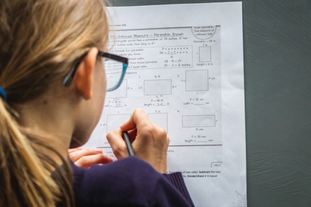 L&auml;xhj&auml;lp och studiecoachning online